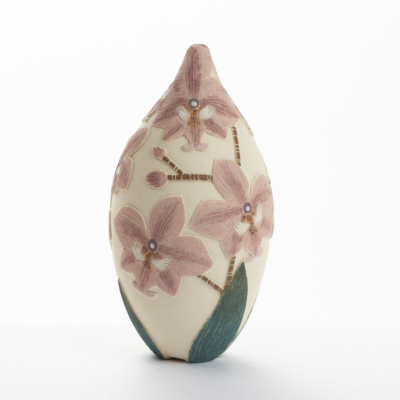 pink moth orchid TS516Y18