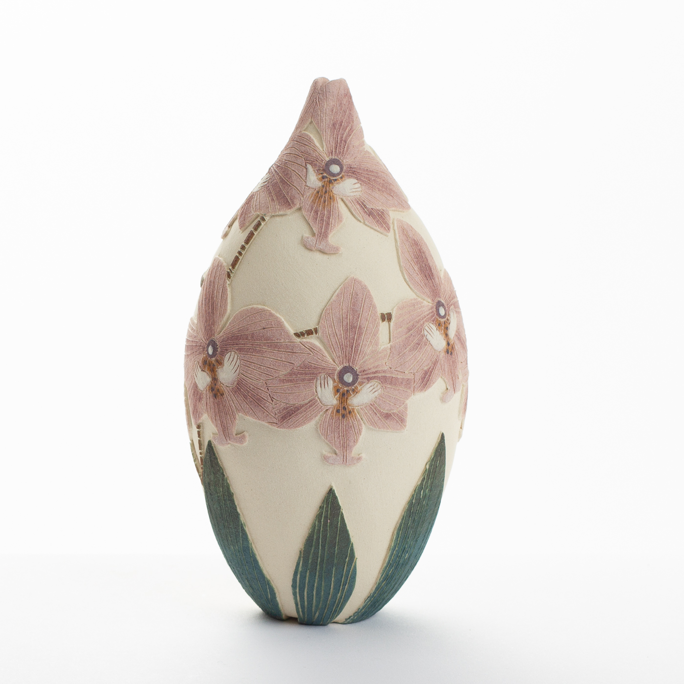 pink moth orchid TS516Y18