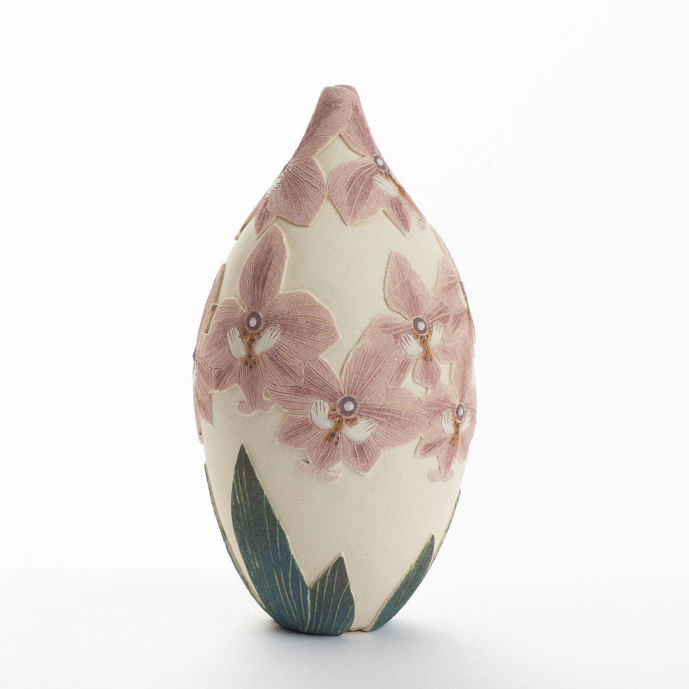 pink moth orchid TS516Y18