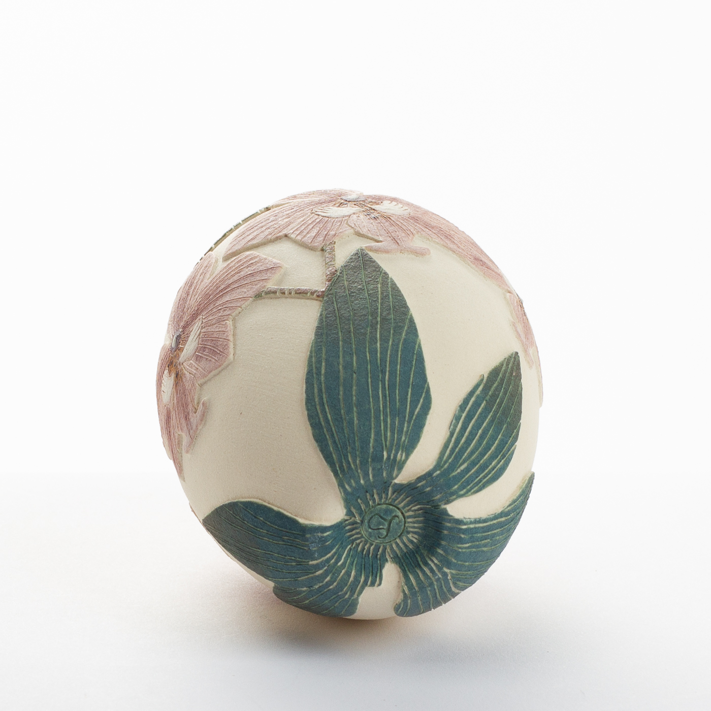 pink moth orchid TS516Y18