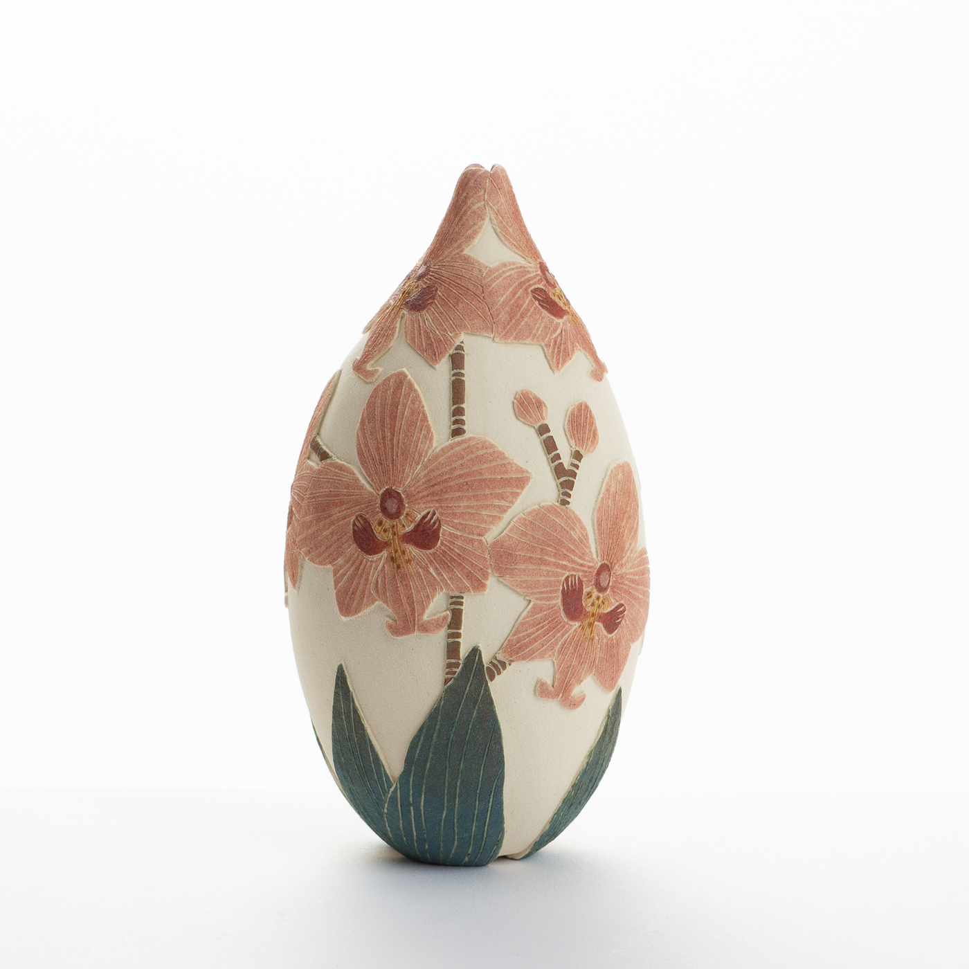 red moth orchid TS516Y19