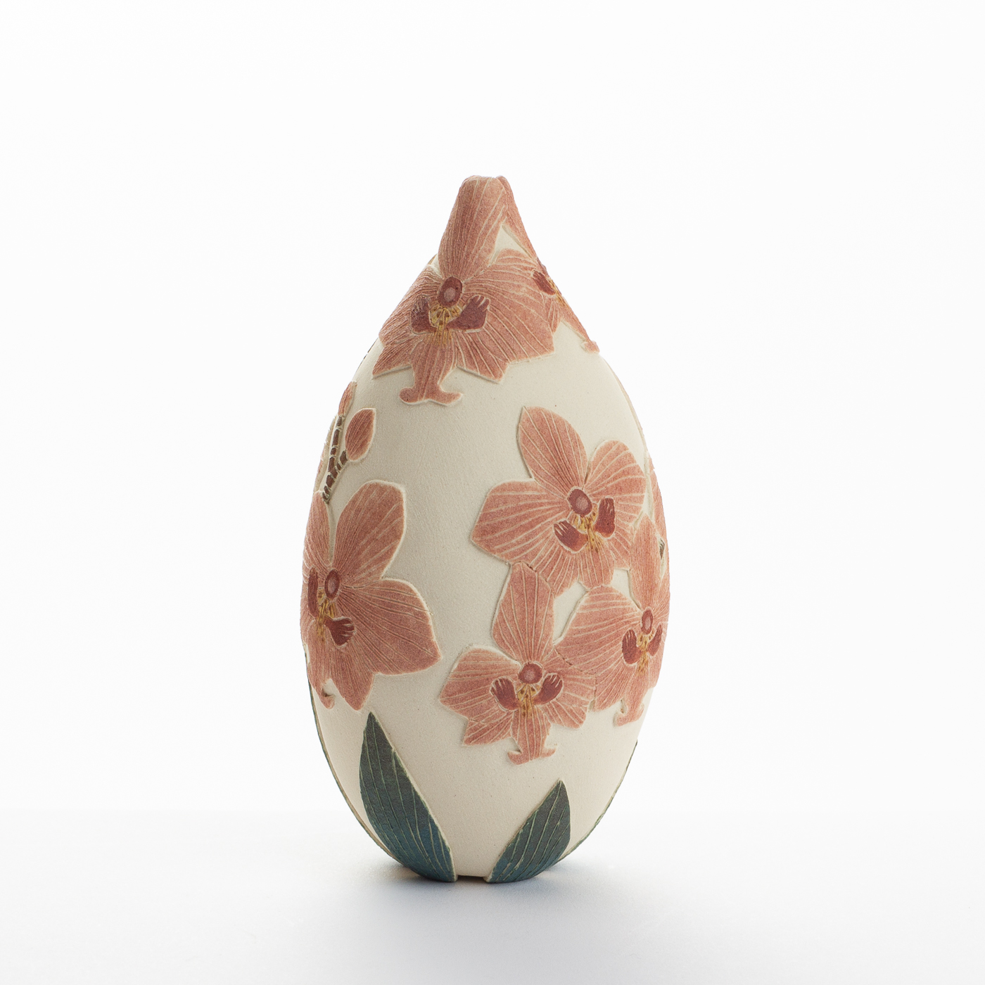 red moth orchid TS516Y19