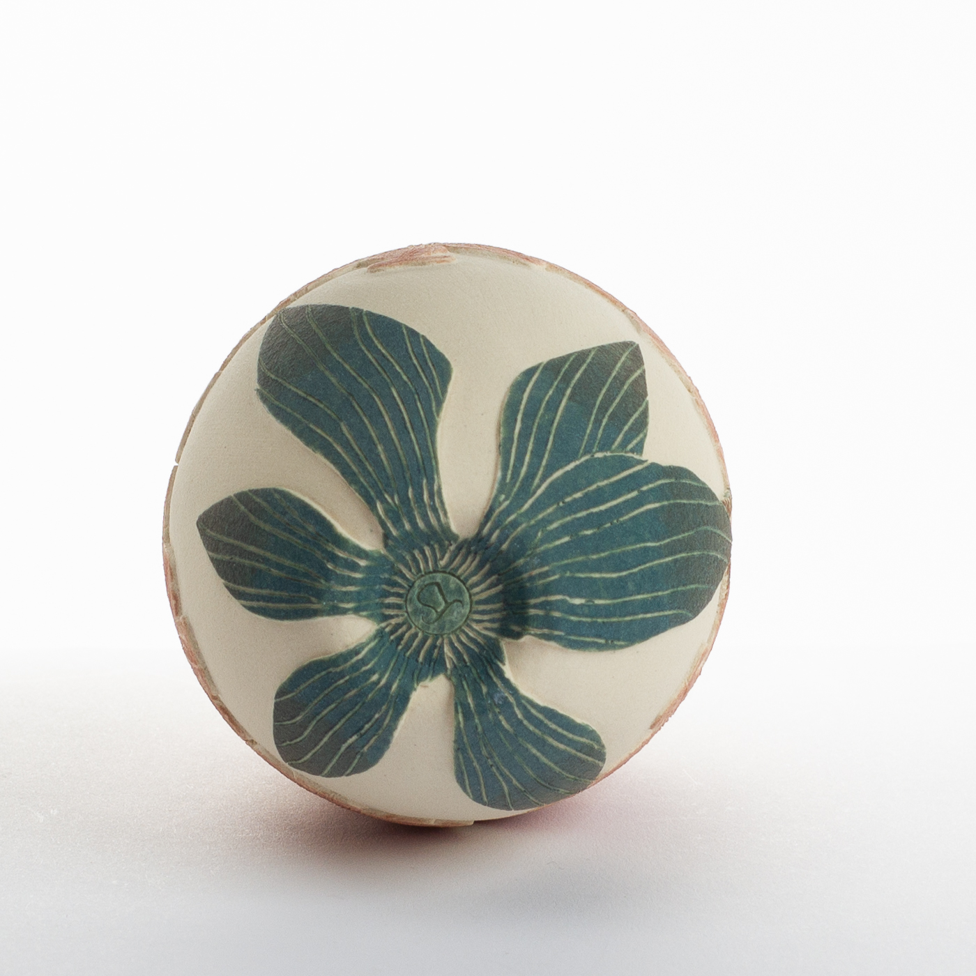 red moth orchid TS516Y19