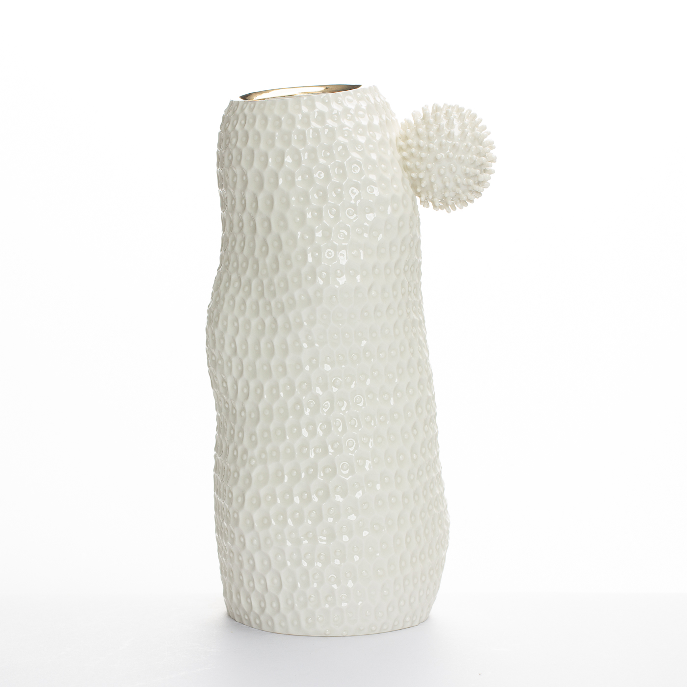 nucleolus Pofu vase II348Y477