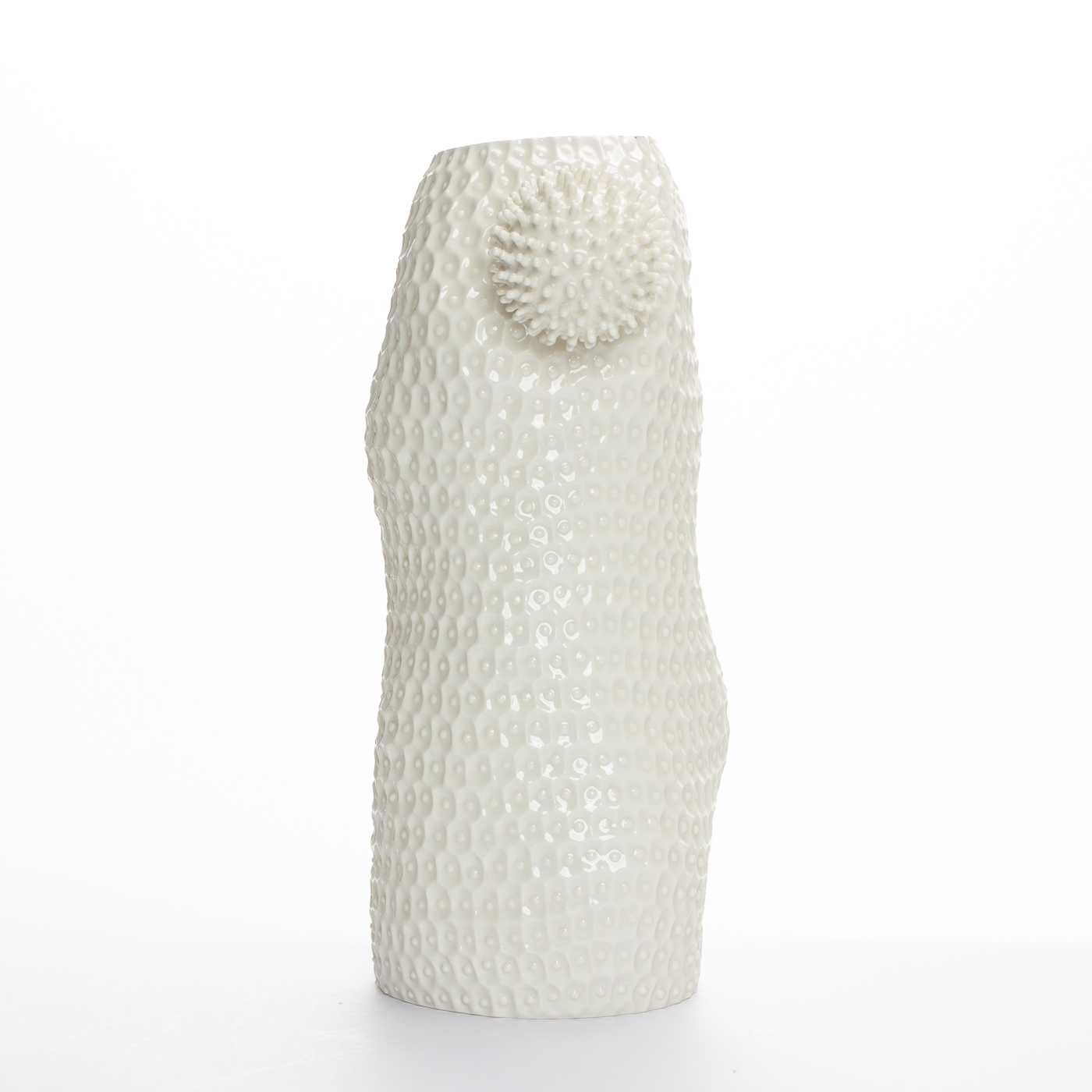 nucleolus Pofu vase II348Y477