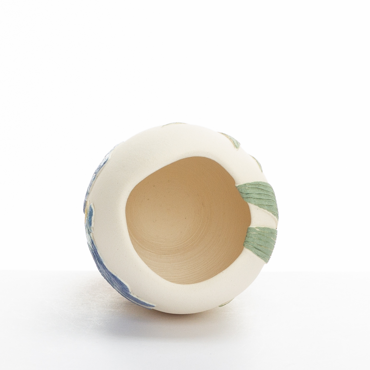 damselfly & waterlily TS516Y21