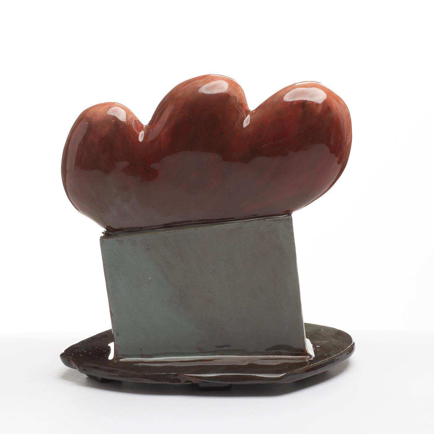 Flame bush JS314Y198