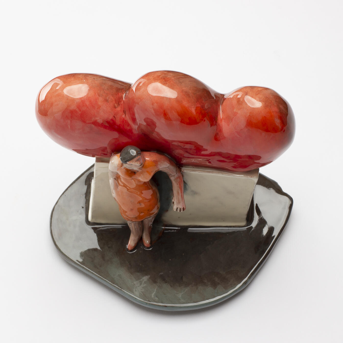 Flame bush JS314Y198