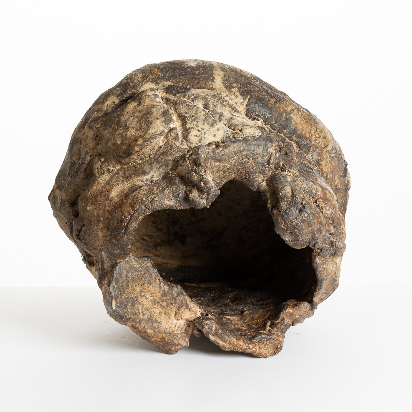 CB310Y209 Large Vessel