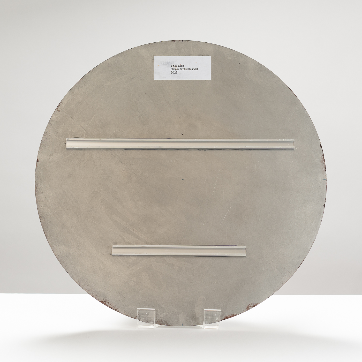 KA583Y1 Slipper Orchid